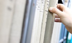 Loobortis dignissim, pulvinar ac, lorem