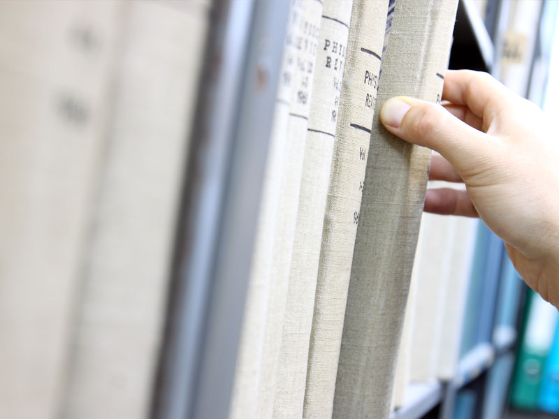 Loobortis dignissim, pulvinar ac, lorem