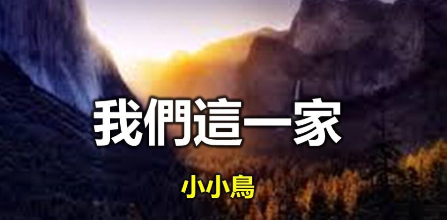 我如何走出谷底(第十一篇)