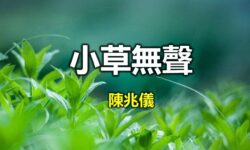 小草無聲︰受傷的人容易傷害人