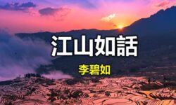 思考婚姻