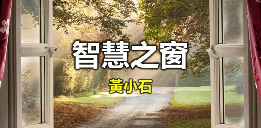 智慧之窗︰一個身不由己的共犯