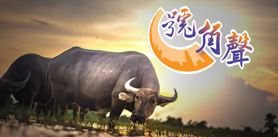 【號角聲】第11集