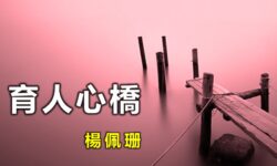 育人心橋:聖方濟各的虧本生意?