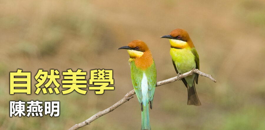 天父創造的美麗