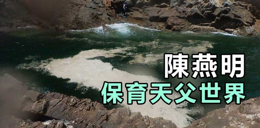 自然美學:你願意保育天父世界而節制地生活嗎?