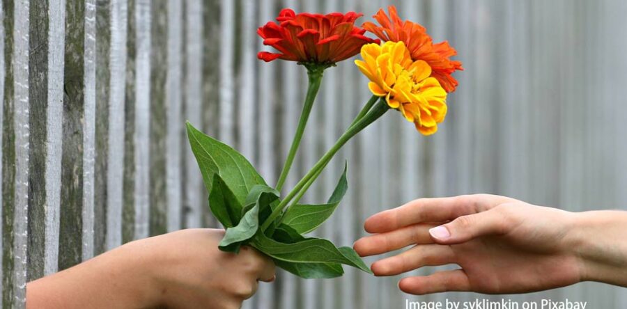 編者的話:你願意獻出你的五餅二魚嗎?