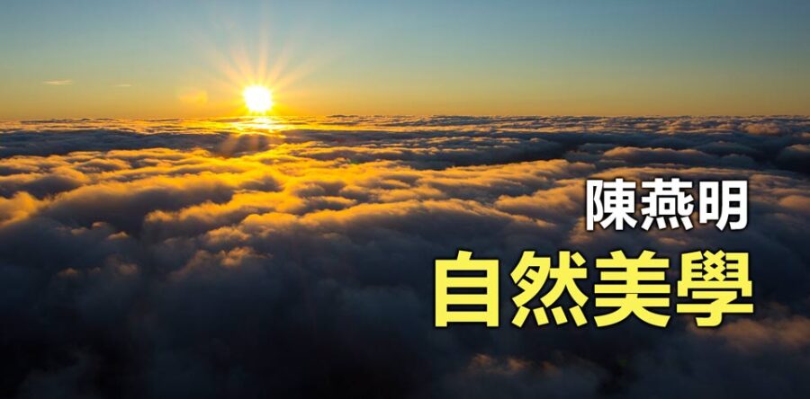 自然美學：聖經中的六日創造