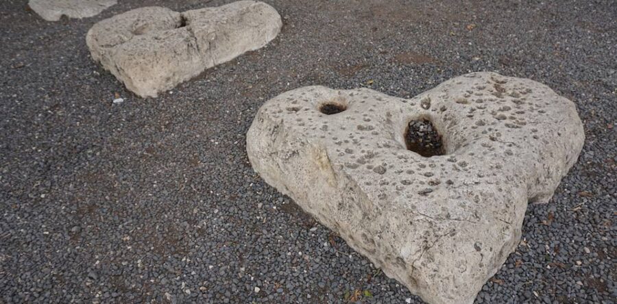 編者的話:九果子源出於愛