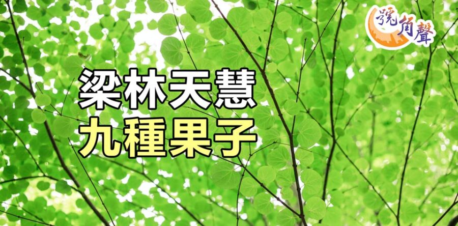 【號角聲】第141集