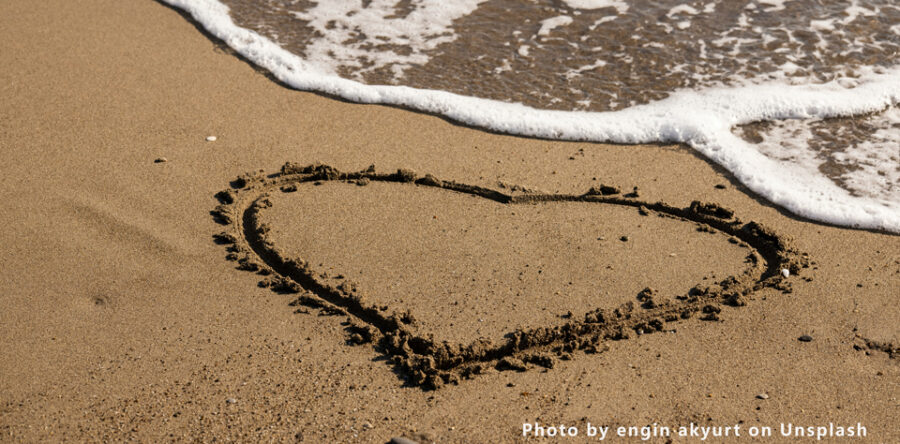 編者的話：怎樣才能不嫉妒？