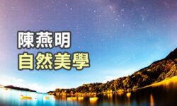 自然美學:關愛受造世界
