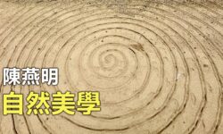 自然美學︰接待懼怕的情緒