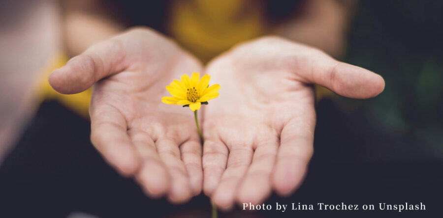 編者的話：反倒以善勝惡