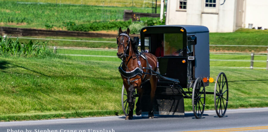 編者的話：不效法這個世界