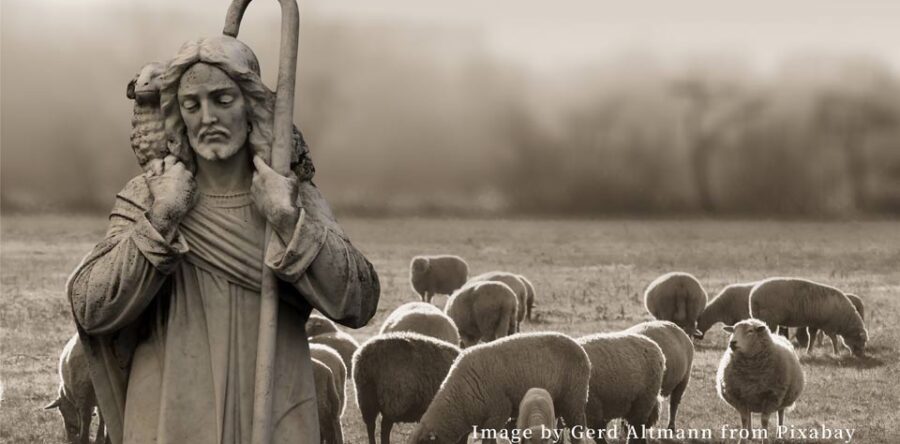 編者的話：誰是牧人？