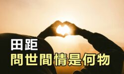 問世間情是何物