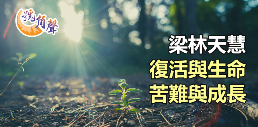 【號角聲】第208集