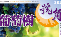 香港號角282期_精華版