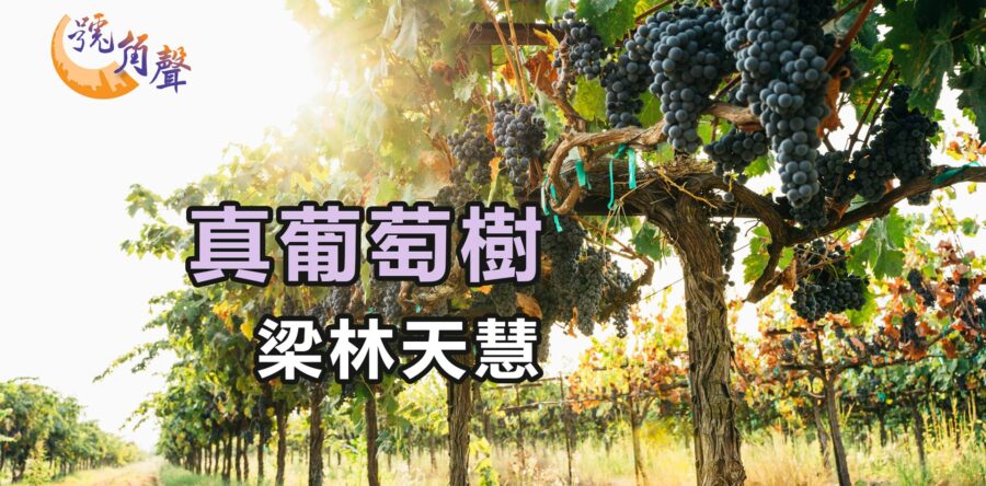 【號角聲】第214集