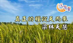 【號角聲】第220集