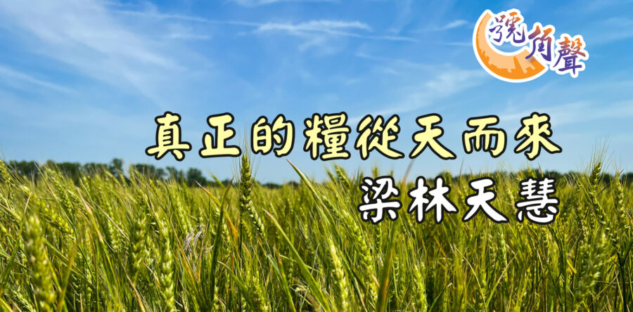 【號角聲】第220集