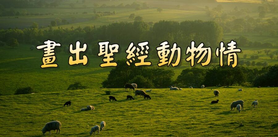 驢子