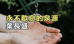 永不歇息的泉源