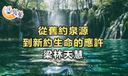 【號角聲】第230集