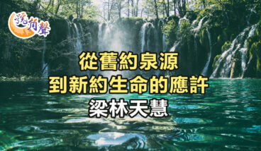 【號角聲】第230集