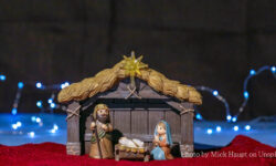 編者的話:誰是拯救者?