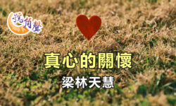 【號角聲】第239集