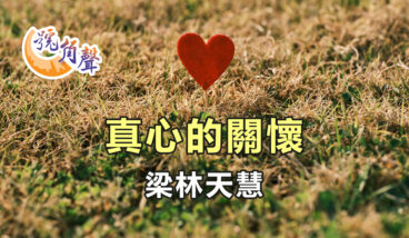 【號角聲】第239集