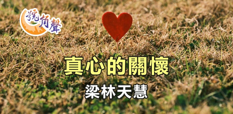 【號角聲】第239集