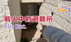 【號角聲】第243集