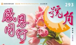 香港號角293期