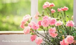 編者的話：不離不棄的同行者