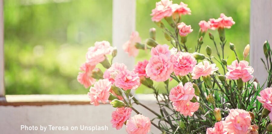 編者的話：不離不棄的同行者