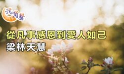 【號角聲】第249集