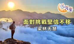 【號角聲】第252集