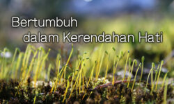 Bertumbuh dalam Kerendahan Hati