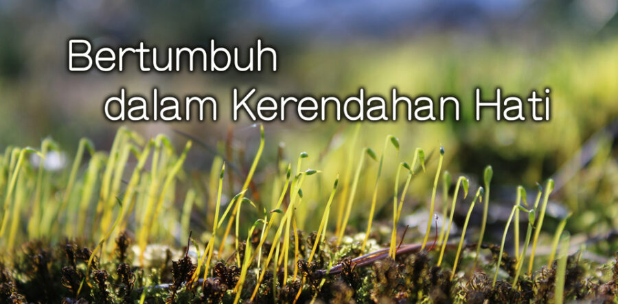Bertumbuh dalam Kerendahan Hati