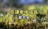 在謙卑中成長