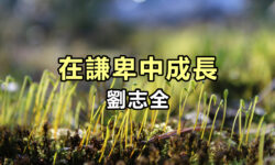 在謙卑中成長